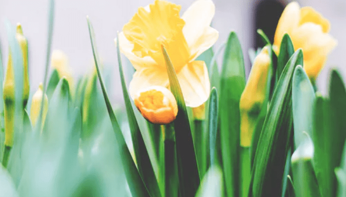 Easter Entertaining at Gaudion Furniture - Gaudion Furniture