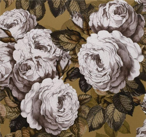 John Derian The Rose Wallpaper 6 Colours
