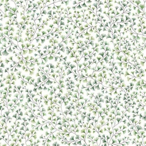 Cole & Son Botanical Botanica Maidenhair Wallpaper 4 Colours