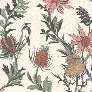 Cole & Son Botanical Botanica Thistle Wallpaper 3 colours