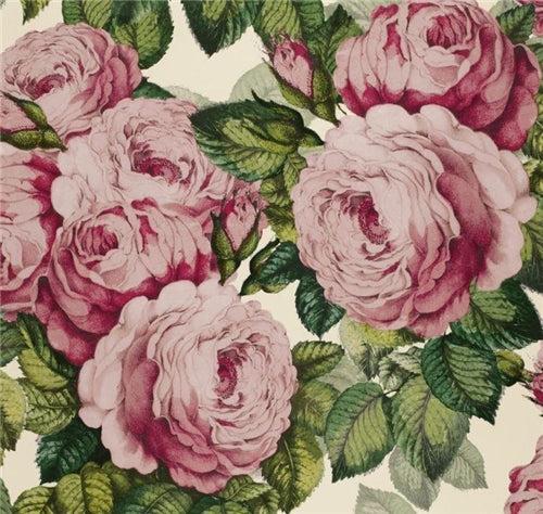 John Derian The Rose Wallpaper 6 Colours
