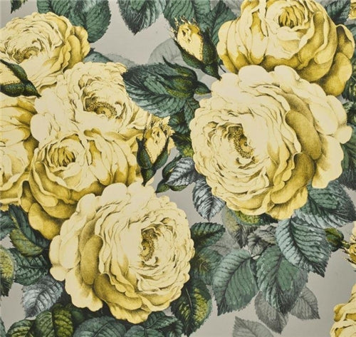 John Derian The Rose Wallpaper 6 Colours