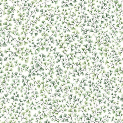 Cole & Son Botanical Botanica Maidenhair Wallpaper 4 Colours - Gaudion Furniture