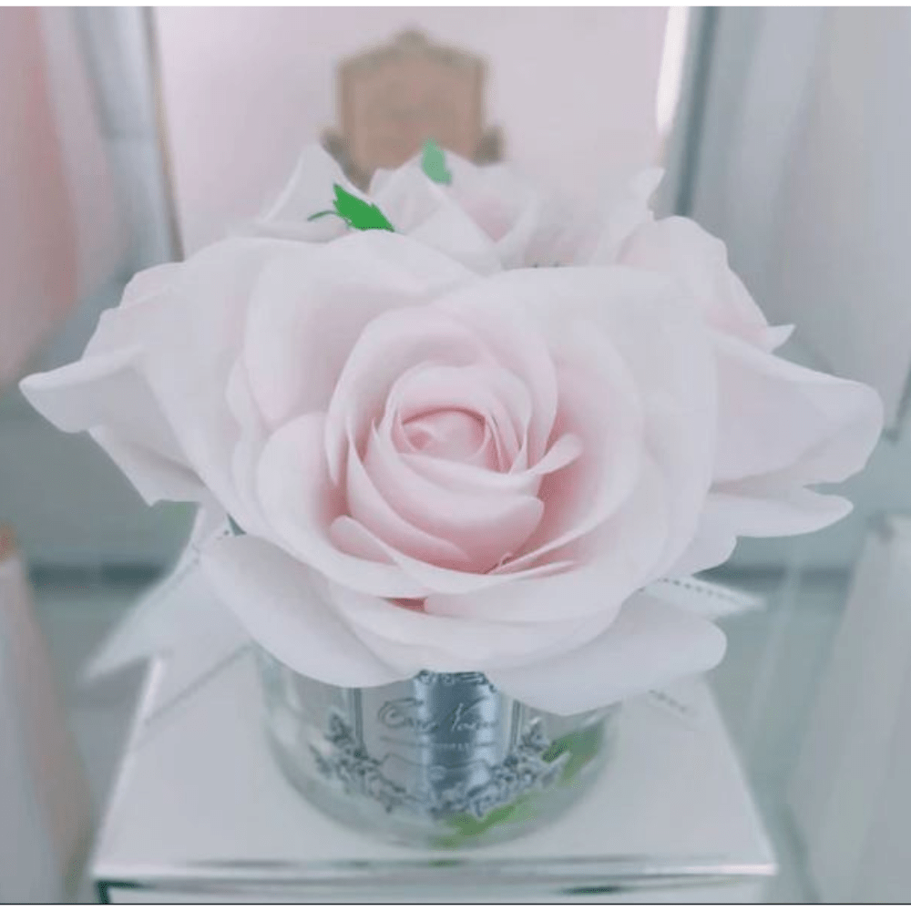 Cote Noire 5 Rose French Pink w Clear Glass - Gaudion Furniture