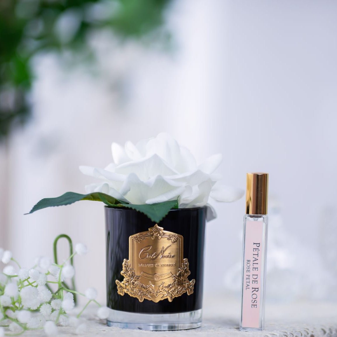 Cote Noire Single Perfumed Rose Ivory in Black Vase - Gaudion Furniture