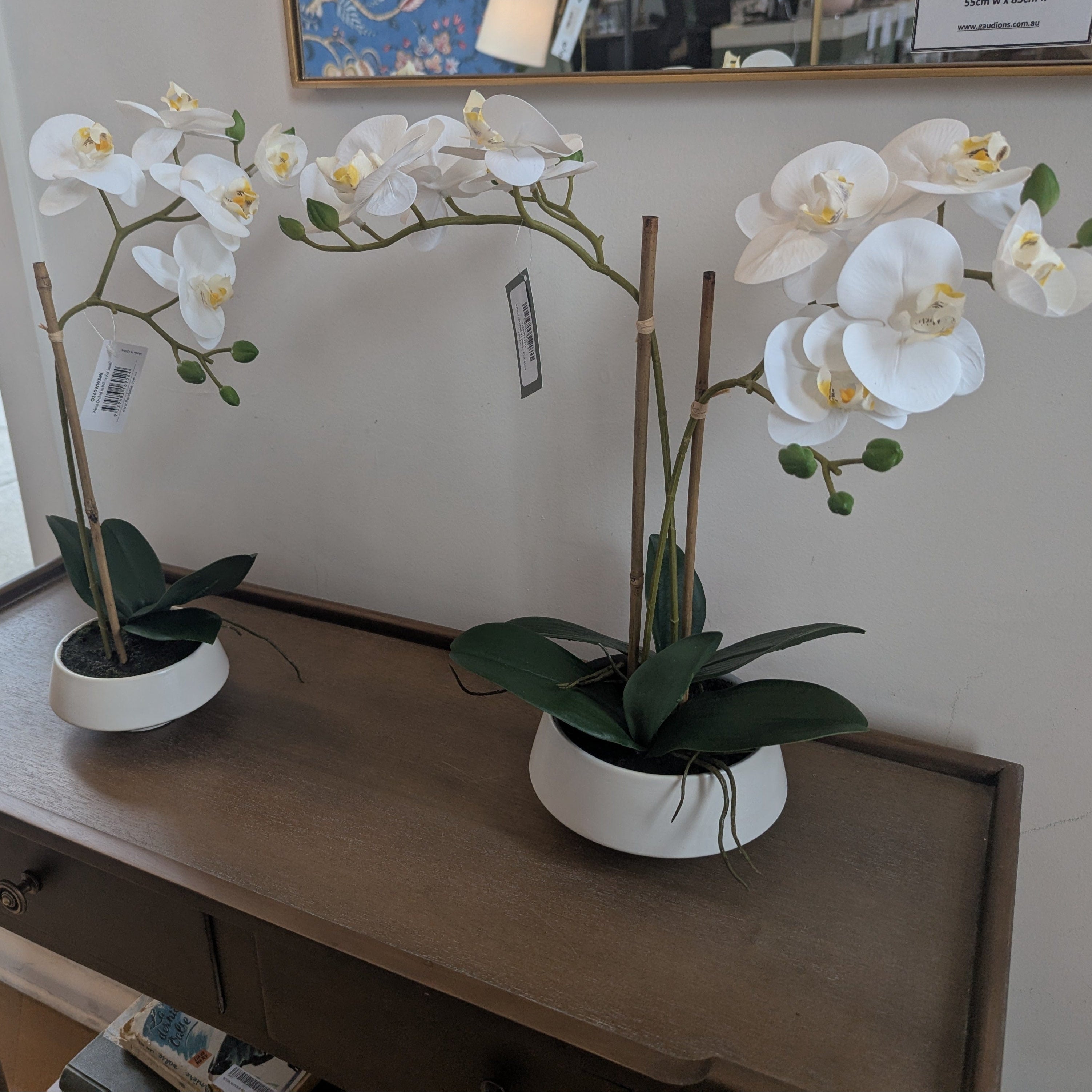 Gaudion Furniture 124 Artificial Flowers Orchid in White Pot Small