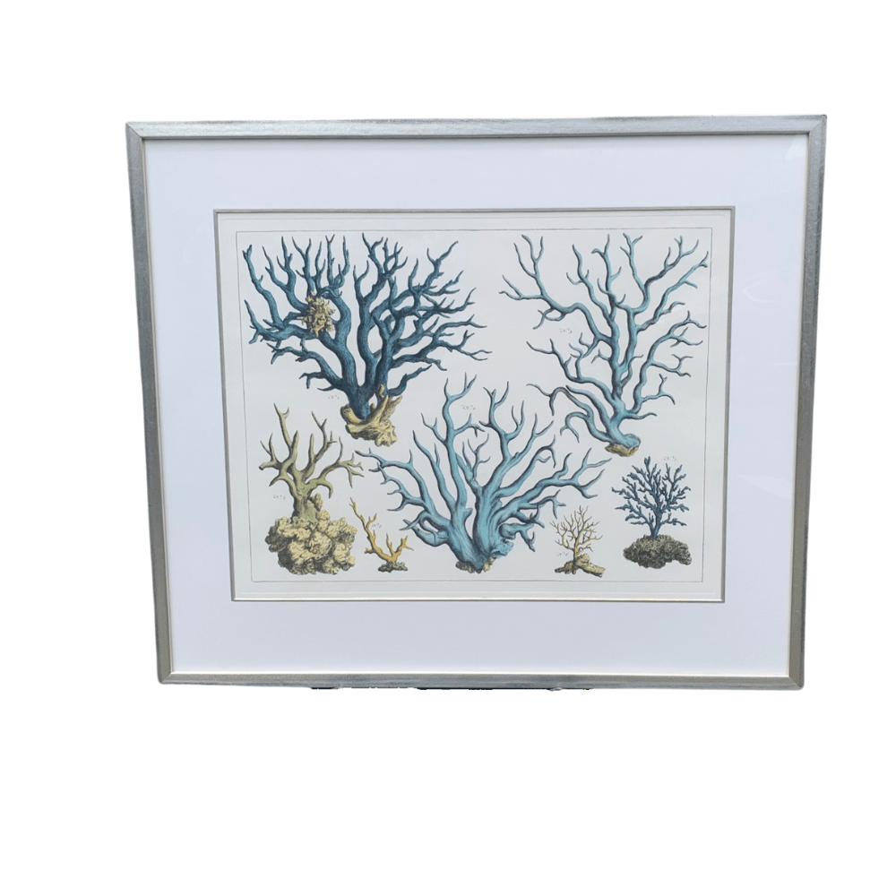 Gaudion Furniture PRINT Print Seba Table of Blue Coral