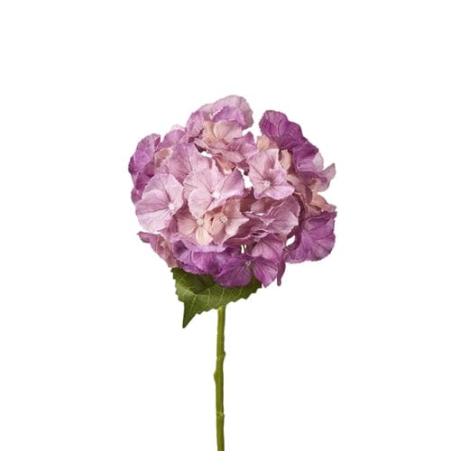 Hydrangea Soft Touch - Gaudion Furniture