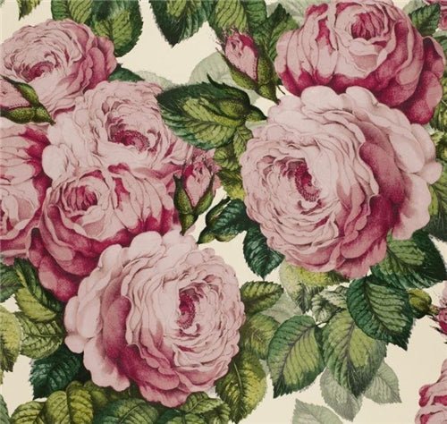 John Derian The Rose Wallpaper 6 Colours - Gaudion Furniture