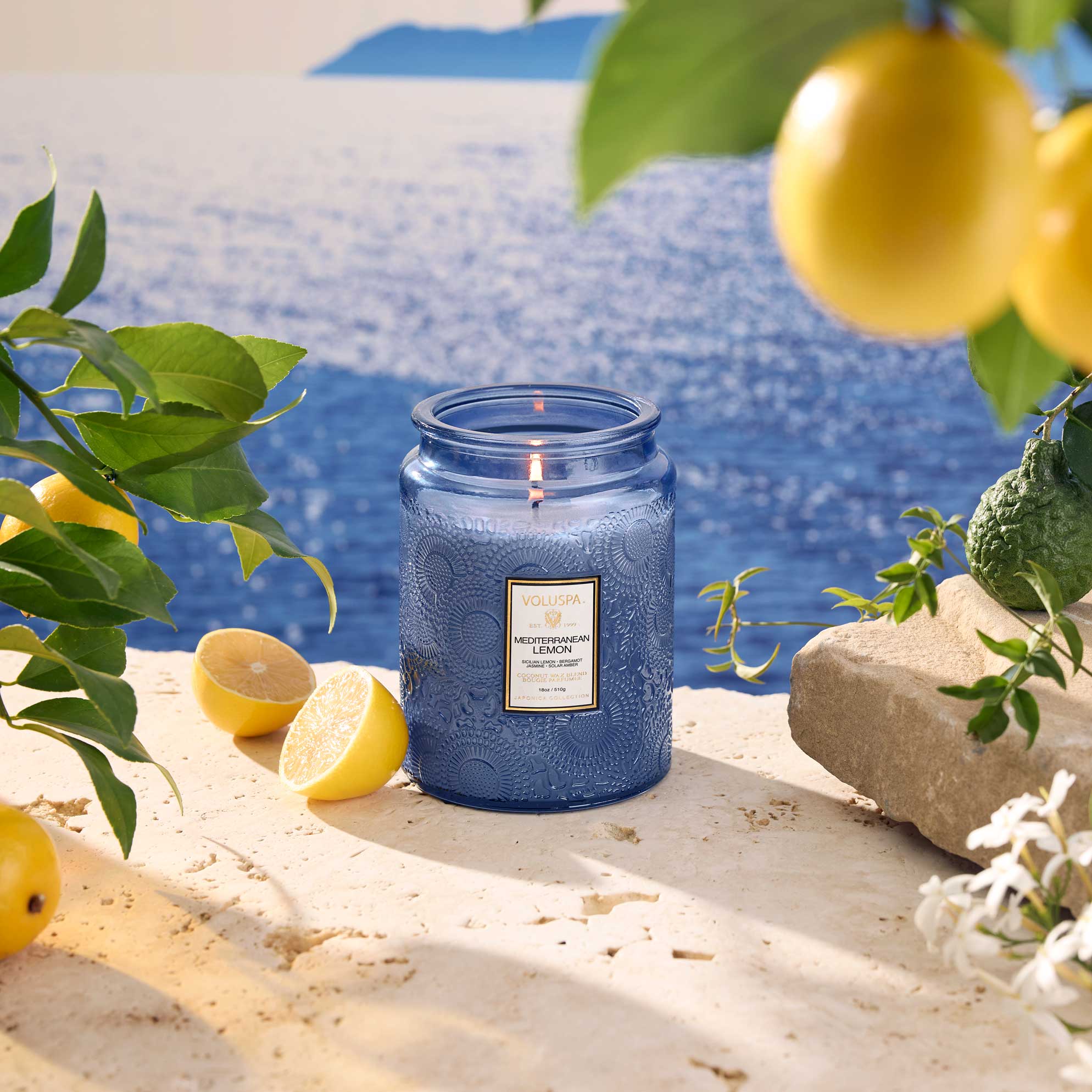 VOLUSPA Mediterranean Lemon 100 hr Candle
