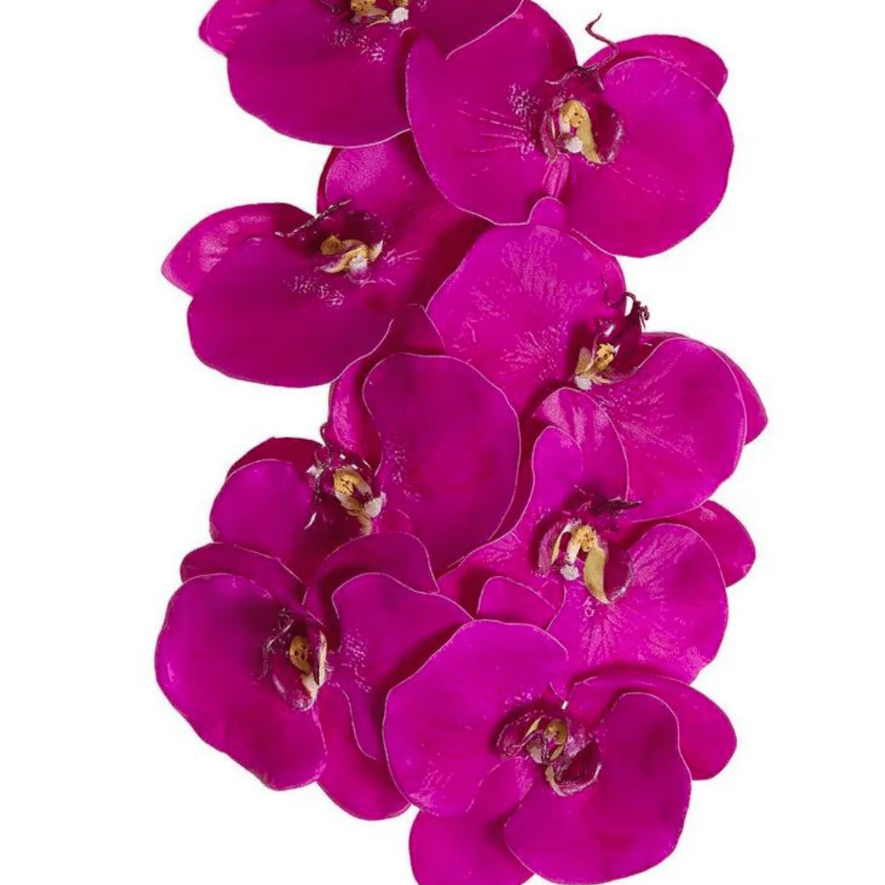 Orchid Phalaenopsis Spray Mauve - Gaudion Furniture