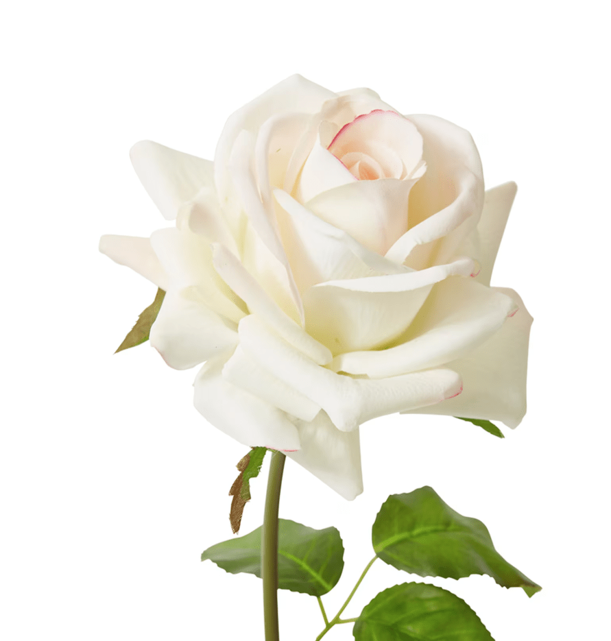 Rose Garden Short - Gaudion Furniture