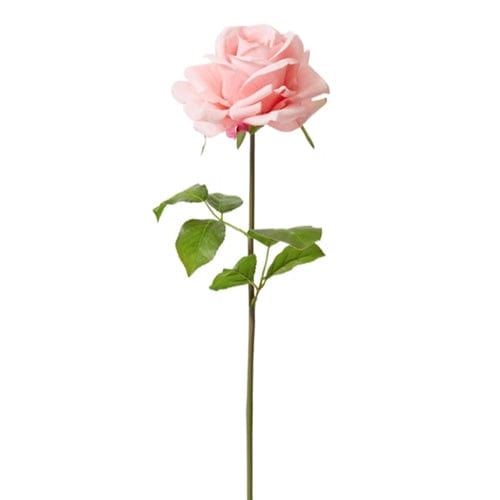 Rose Garden Short - Gaudion Furniture