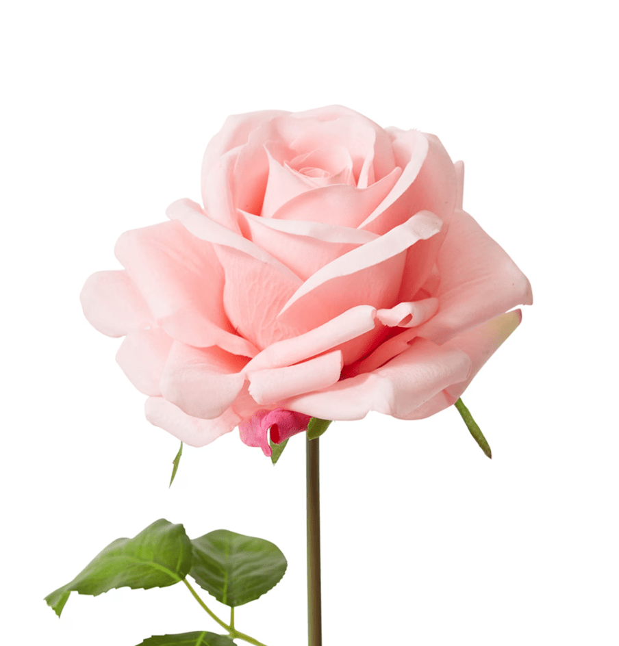 Rose Garden Short - Gaudion Furniture