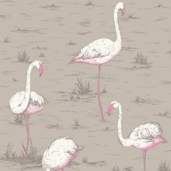 Cole and Son Wallpaper 1 x 66 6042 Flamingo Wallpaper Roll Cole & Son Flamingos Wallpaper