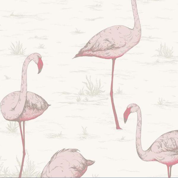 Cole and Son Wallpaper 1 x 95/8045 Flamingos Wallpaper Roll Cole & Son Flamingos Wallpaper