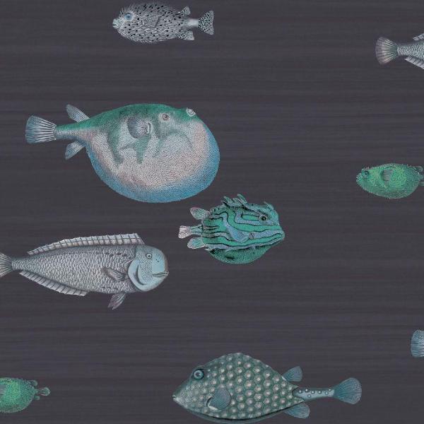 Cole and Son Acquari Wallpaper Roll Cole and Son Fornasetti Acquario Wallpaper 5 Colours