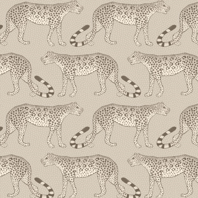 Leopard Walk Wallpaper 109/2012 Cole and Son Ardmore Leopard Wallpaper 5 Colours