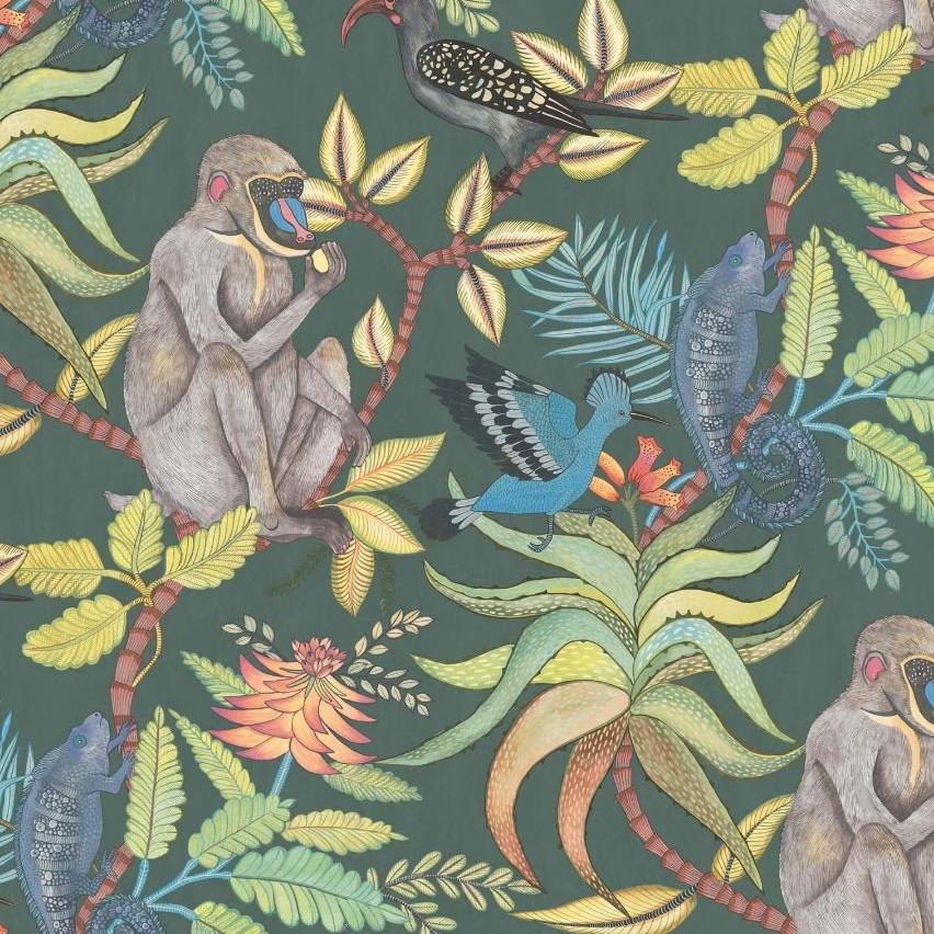 Cole & Son Wallpaper Savati Wallpaper Roll Cole and Son Ardmore Savuti Wallpaper 6 Colours