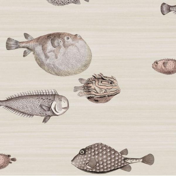 Taupe Acquario Wallpaper Roll Cole and Son Fornasetti Acquario Wallpaper 5 Colours