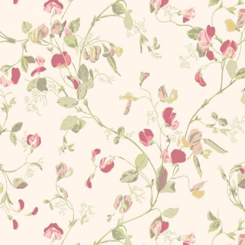 Cole and Son Wallpaper Cole and Son Botanical Botanica Sweet Pea Wallpaper 6 colours