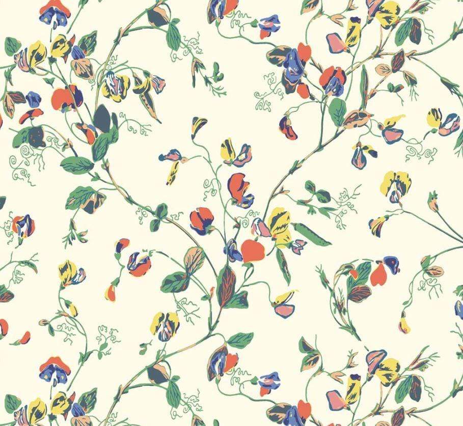 Cole and Son Wallpaper Cole and Son Botanical Botanica Sweet Pea Wallpaper 6 colours