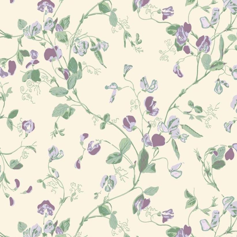 Cole and Son Wallpaper Cole and Son Botanical Botanica Sweet Pea Wallpaper 6 colours