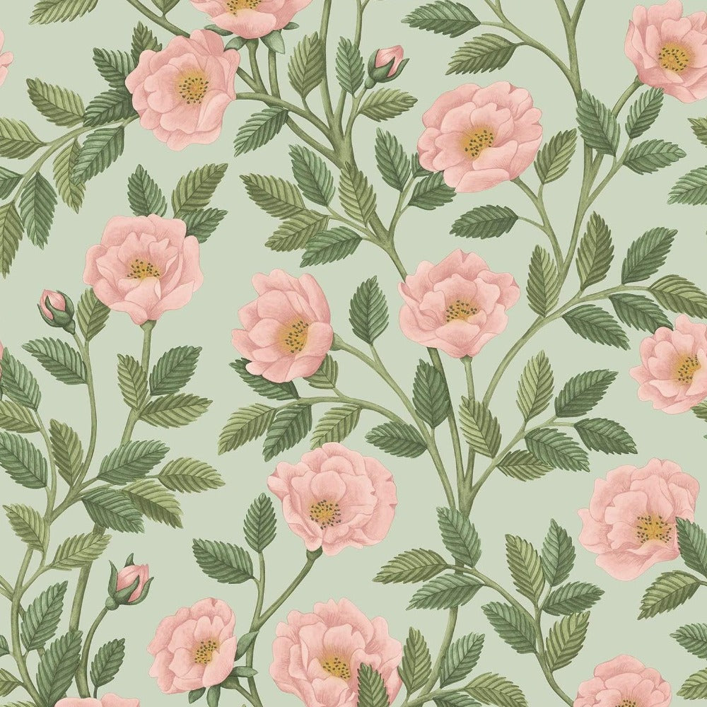 Cole and Son Wallpaper Cole & Son Historic Royal Palaces Hampton Rose