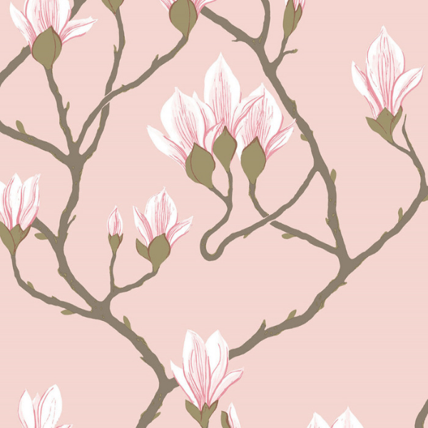 Cole and Son Wallpaper Cole & Son Magnolia Wallpaper 4 colourways