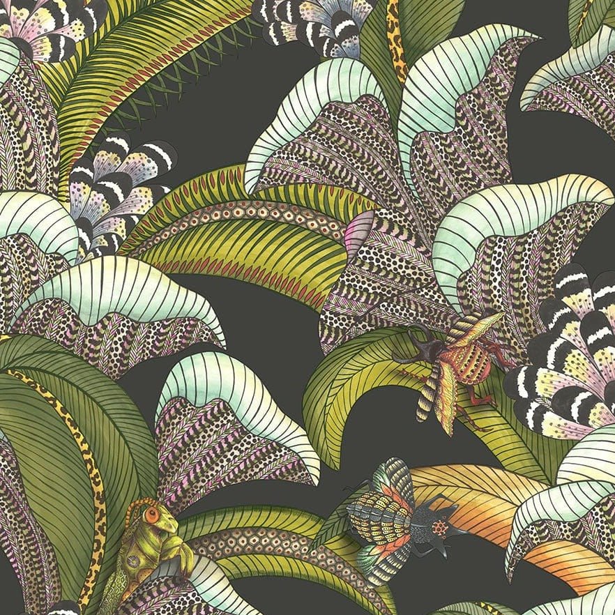 Cole & Son Ardmore Jabula Hoopoe Leaves Wallpaper 7 Colours - Gaudion Furniture