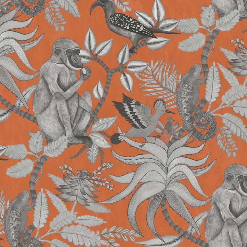 Cole & Son Ardmore Savuti Wallpaper 6 Colours - Gaudion Furniture