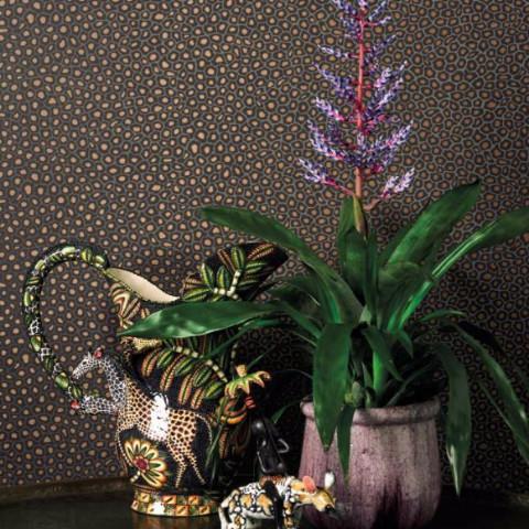 Cole & Son Ardmore Senzo Spot Wallpaper 6 Colours - Gaudion Furniture