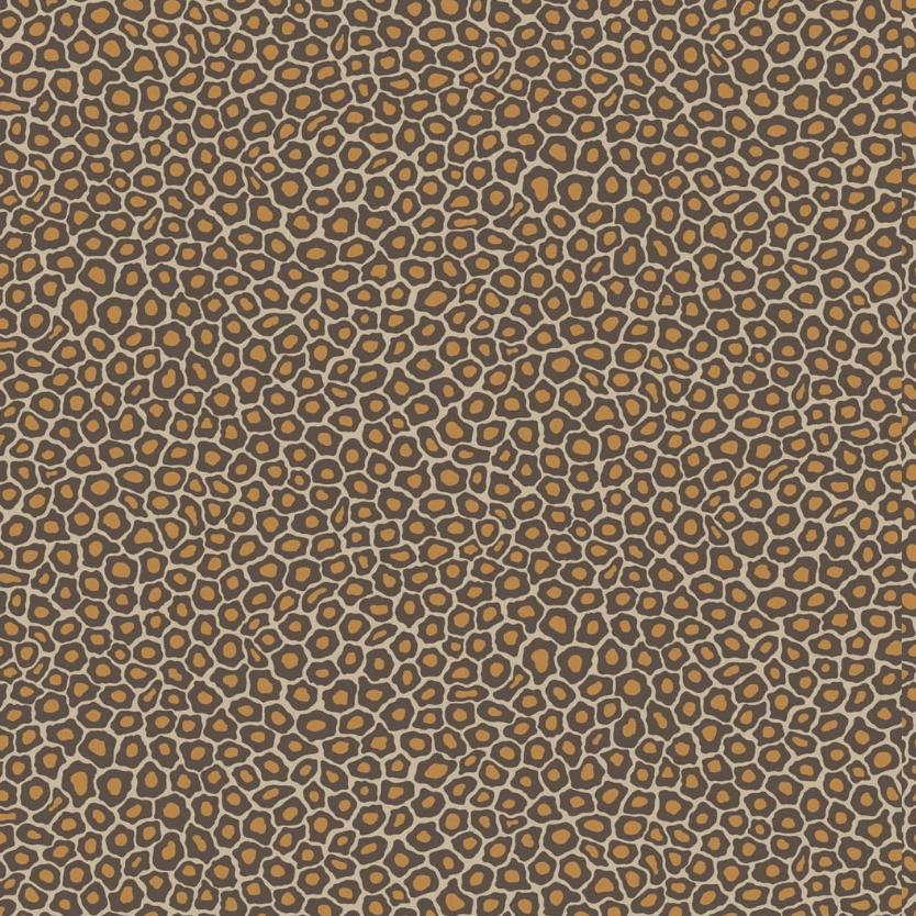 Cole & Son Ardmore Senzo Spot Wallpaper 6 Colours - Gaudion Furniture