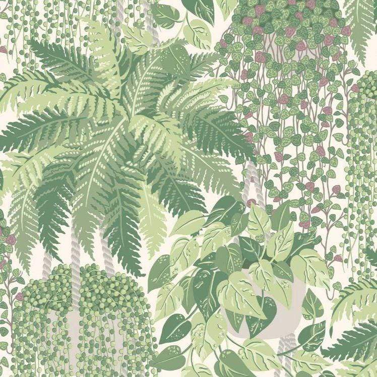Cole & Son Botanical Botanica Fern Wallpaper 2 Colours - Gaudion Furniture