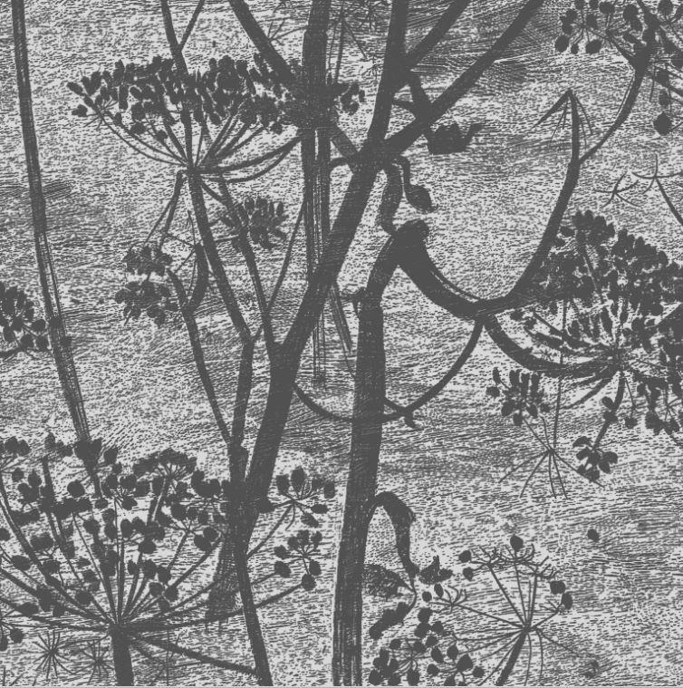 Cole & Son Cow Parsley Wallpaper - Gaudion Furniture