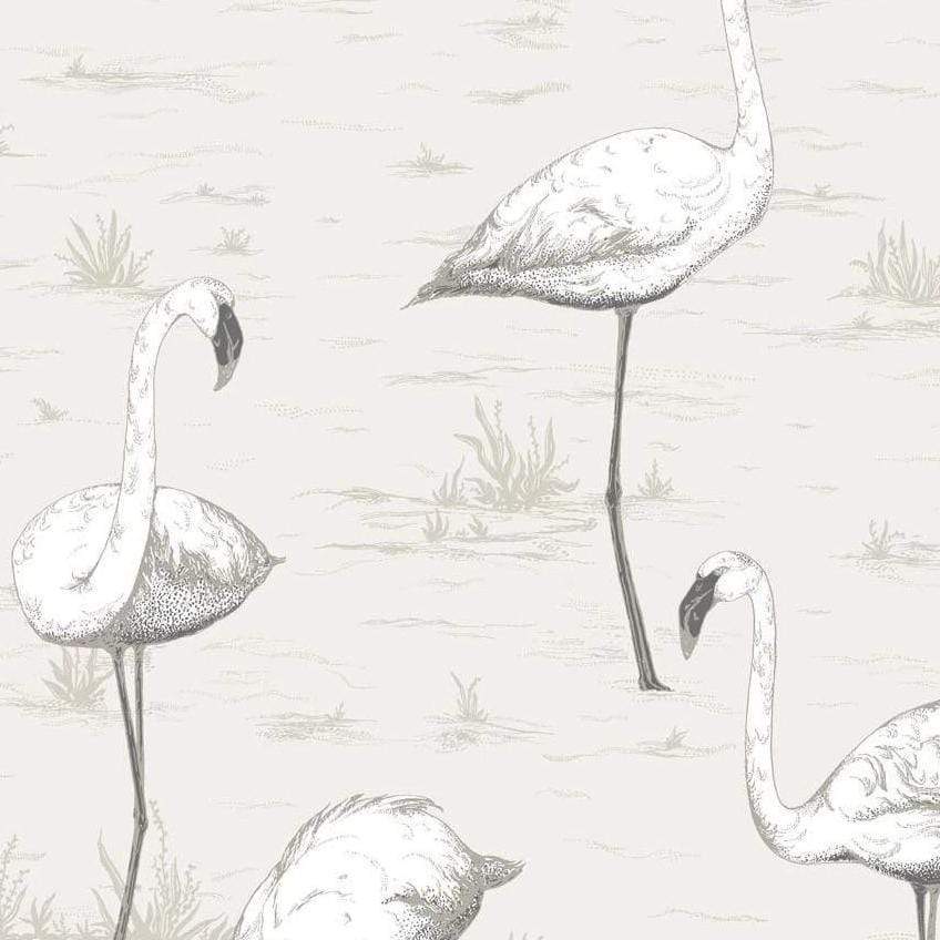 Cole & Son Flamingos Wallpaper 6 Colours - Gaudion Furniture