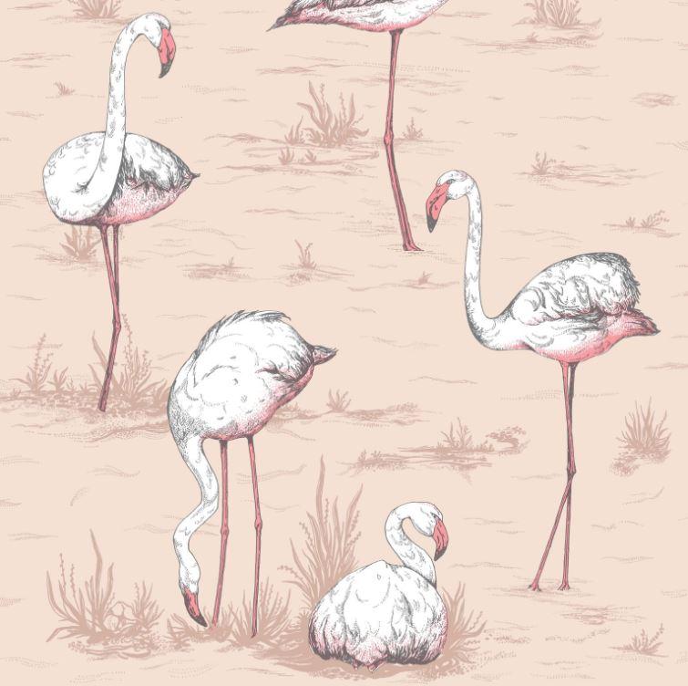 Cole & Son Flamingos Wallpaper 6 Colours - Gaudion Furniture