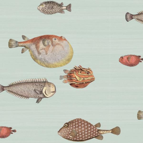 Cole & Son Fornasetti Acquario Wallpaper 5 Colours - Gaudion Furniture