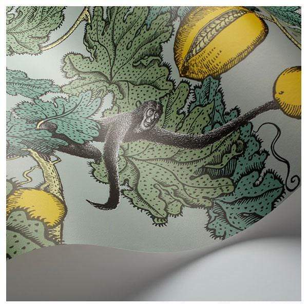 Cole & Son Fornasetti Frutto Proibito Wallpaper 4 Colours - Gaudion Furniture