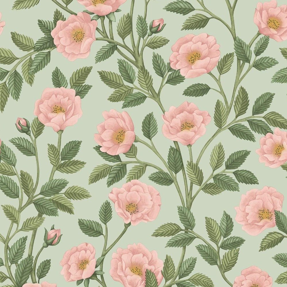 Cole & Son Historic Royal Palaces Hampton Rose Wallpaper 4 Colours - Gaudion Furniture