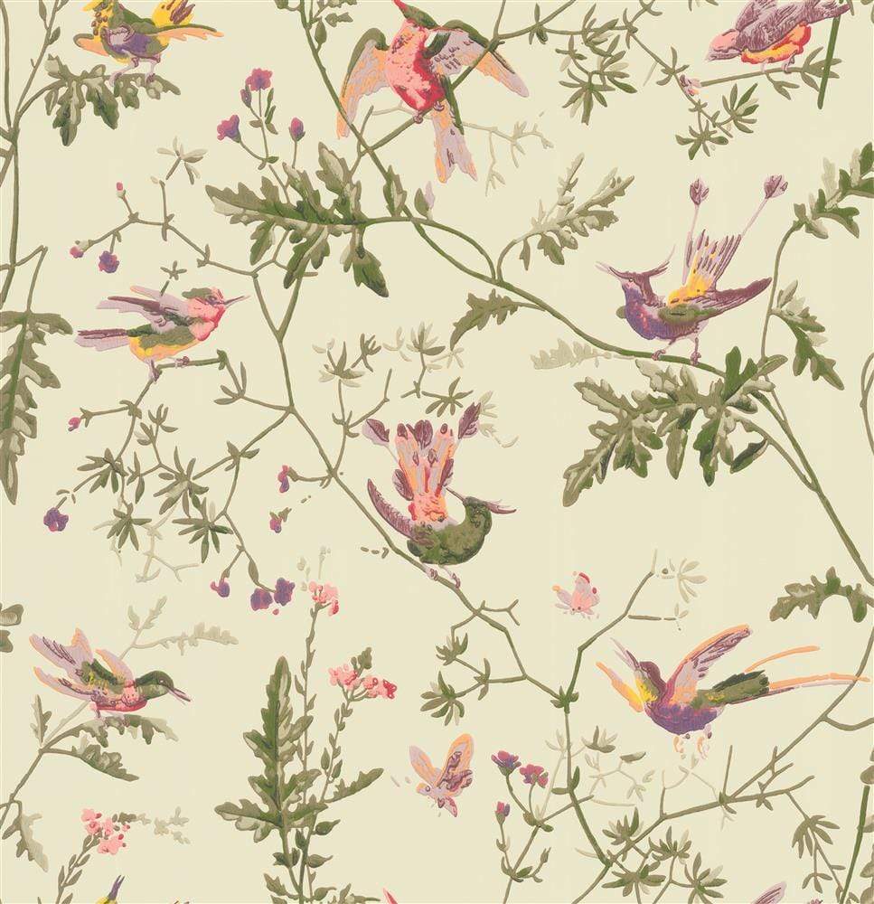 Cole & Son Hummingbirds Wallpaper 9 Colours - Gaudion Furniture