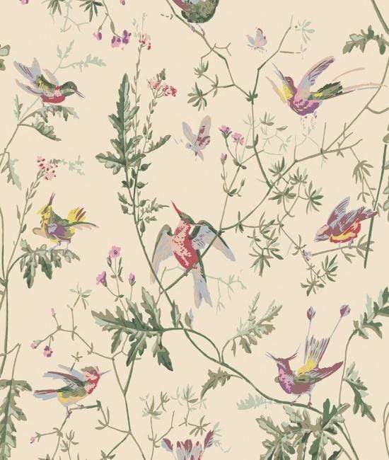 Cole & Son Hummingbirds Wallpaper 9 Colours - Gaudion Furniture