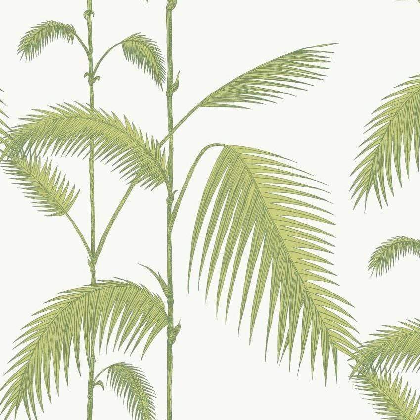 Cole & Son Palm Wallpaper 