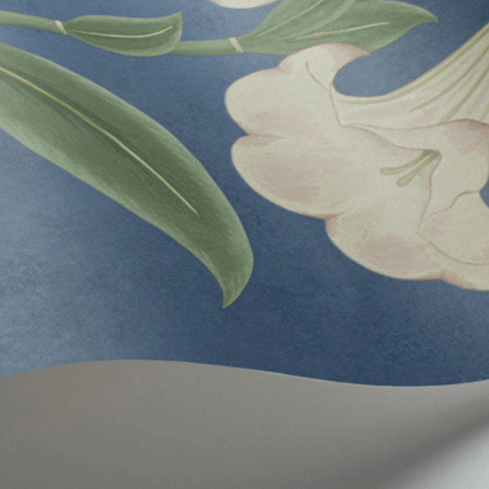 Cole & Son Seville Angel's Trumpet Wallpaper 4 Colours - Gaudion Furniture
