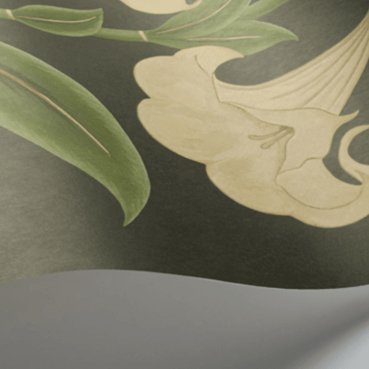 Cole & Son Seville Angel's Trumpet Wallpaper 4 Colours - Gaudion Furniture