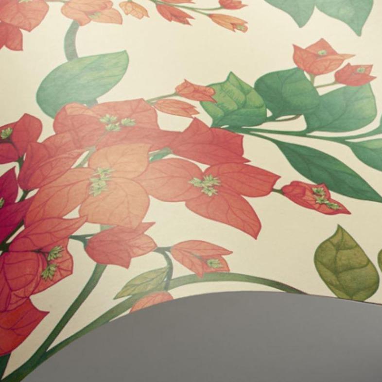 Cole & Son Seville Bouginvillea Wallpaper 4 Colours - Gaudion Furniture