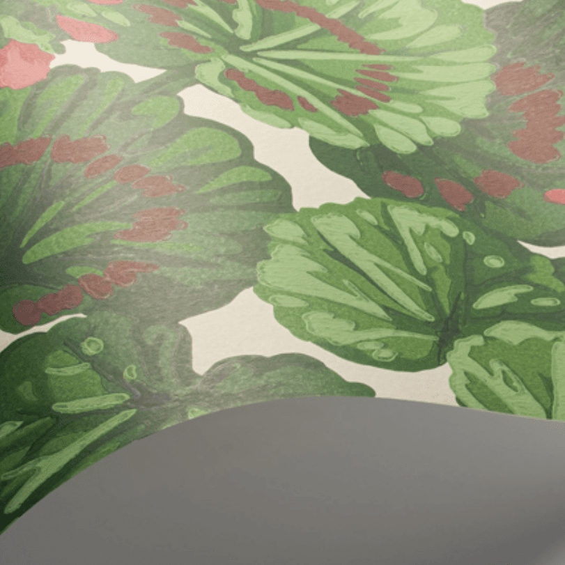 Cole & Son Seville Geranium Wallpaper 4 Colours - Gaudion Furniture