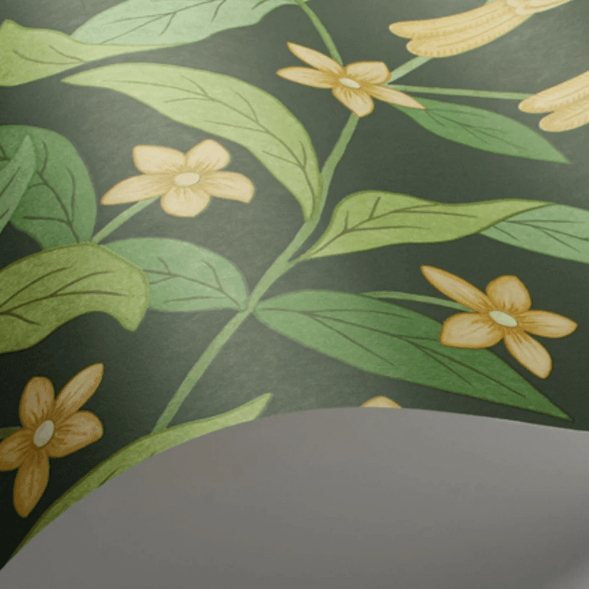 Cole & Son Seville Jasmine & Serin Symphony Wallpaper 4 Colours - Gaudion Furniture