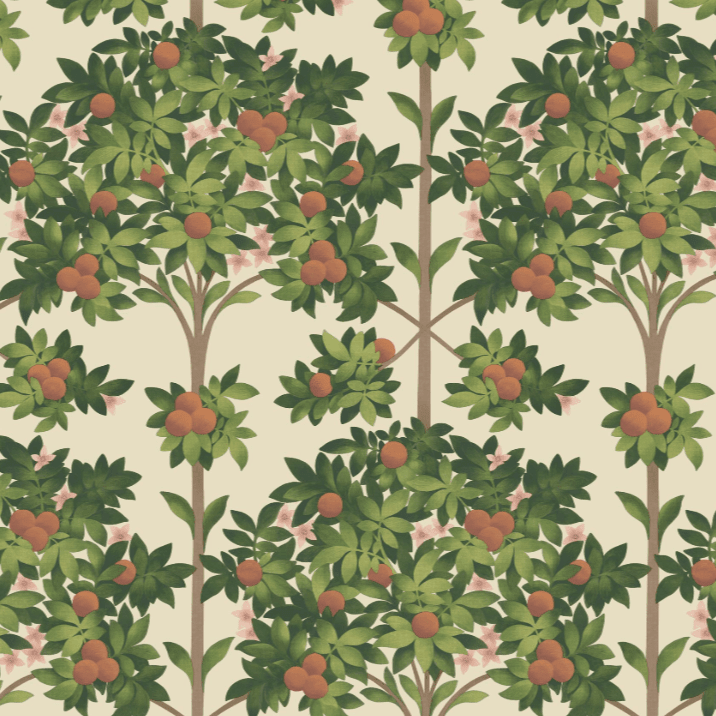 Cole & Son Seville Orange Blossom Wallpaper 4 Colours - Gaudion Furniture