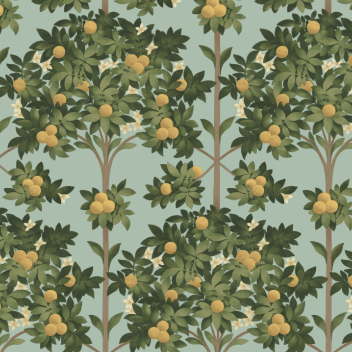 Seville Orange Blossom Wallpaper Roll Cole and Son Seville Orange Blossom Wallpaper 4 colours